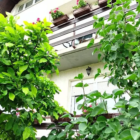 Apartman Kod Dide I Bake Vukovar Exterior photo
